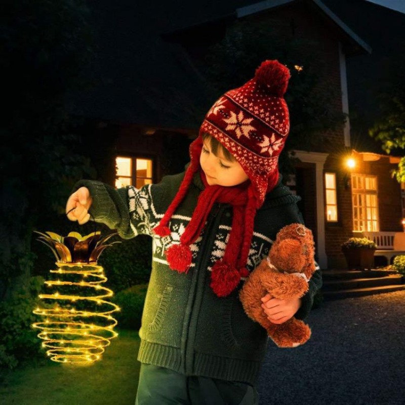 ソーラー充電ライト LED 銅線ライトストリングパイナップル - Outdoor Lighting No Wiring のレビューと価格