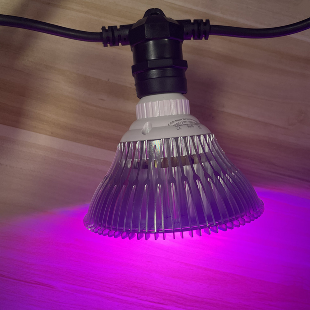 10 メートルケーブル LED ストリング商用グレード防水  - Outdoor Lighting Permanent のレビューと価格