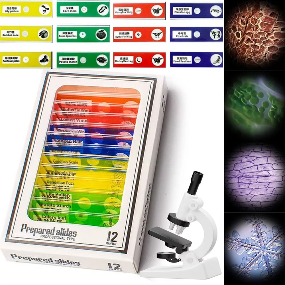 1 個 60-120X ポケット顕微鏡ミニ屋外ハンドヘルド顕 - Outdoor Lighting Kits のレビューと価格