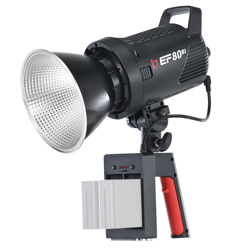 JINBEI EF-80Bi ハンドヘルドLEDビデオライト - Outdoor Lighting Kits のレビューと価格