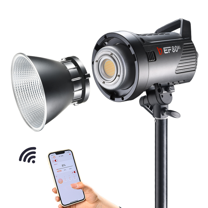JINBEI EF-80Bi ハンドヘルドLEDビデオライト - Outdoor Lighting Kits のレビューと価格